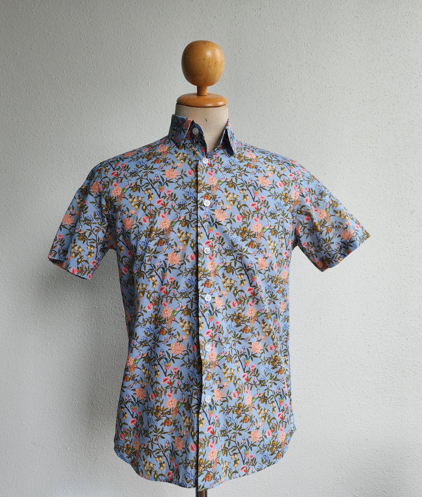 Crisp Morning in Spring