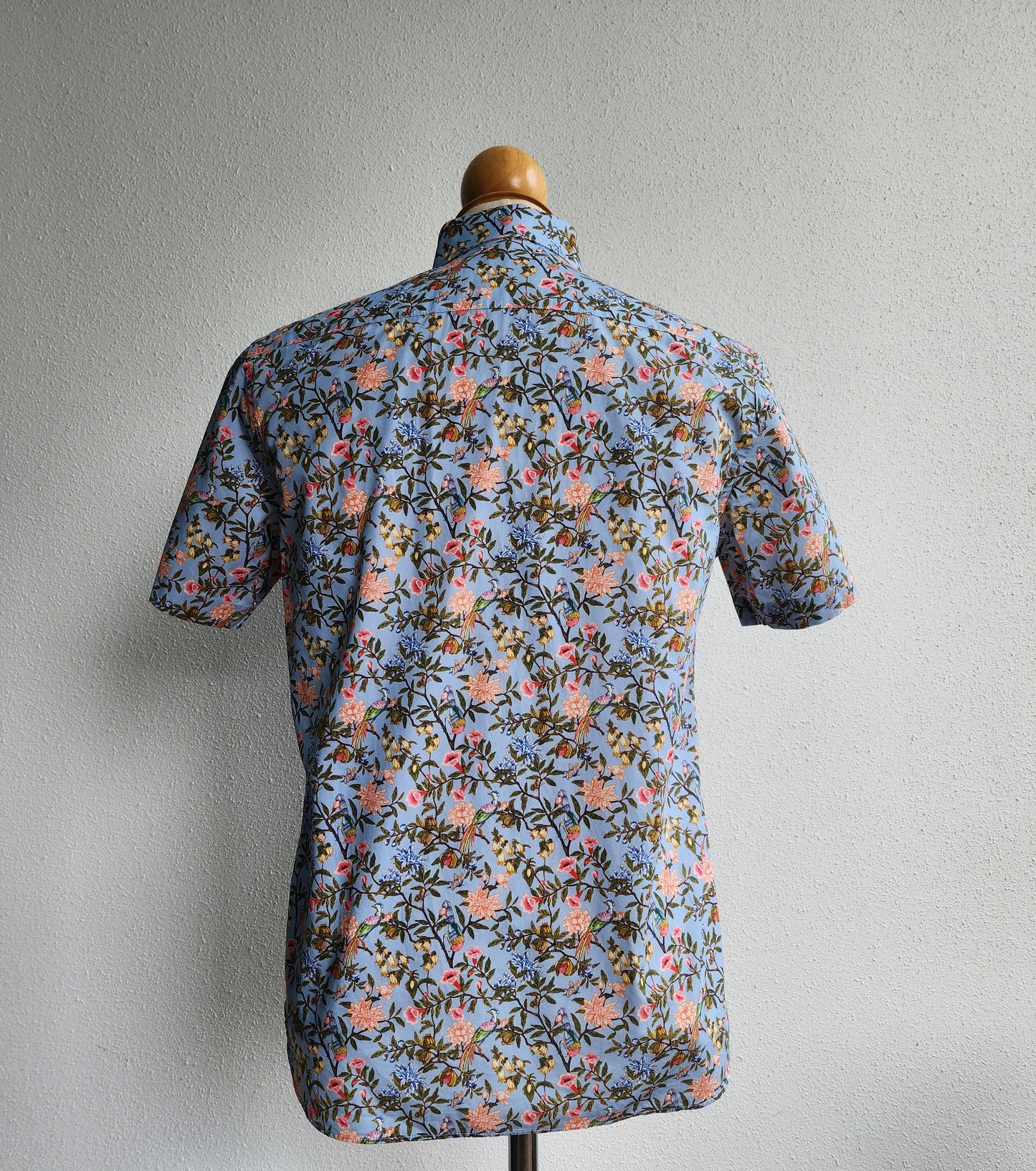 Crisp Morning in Spring