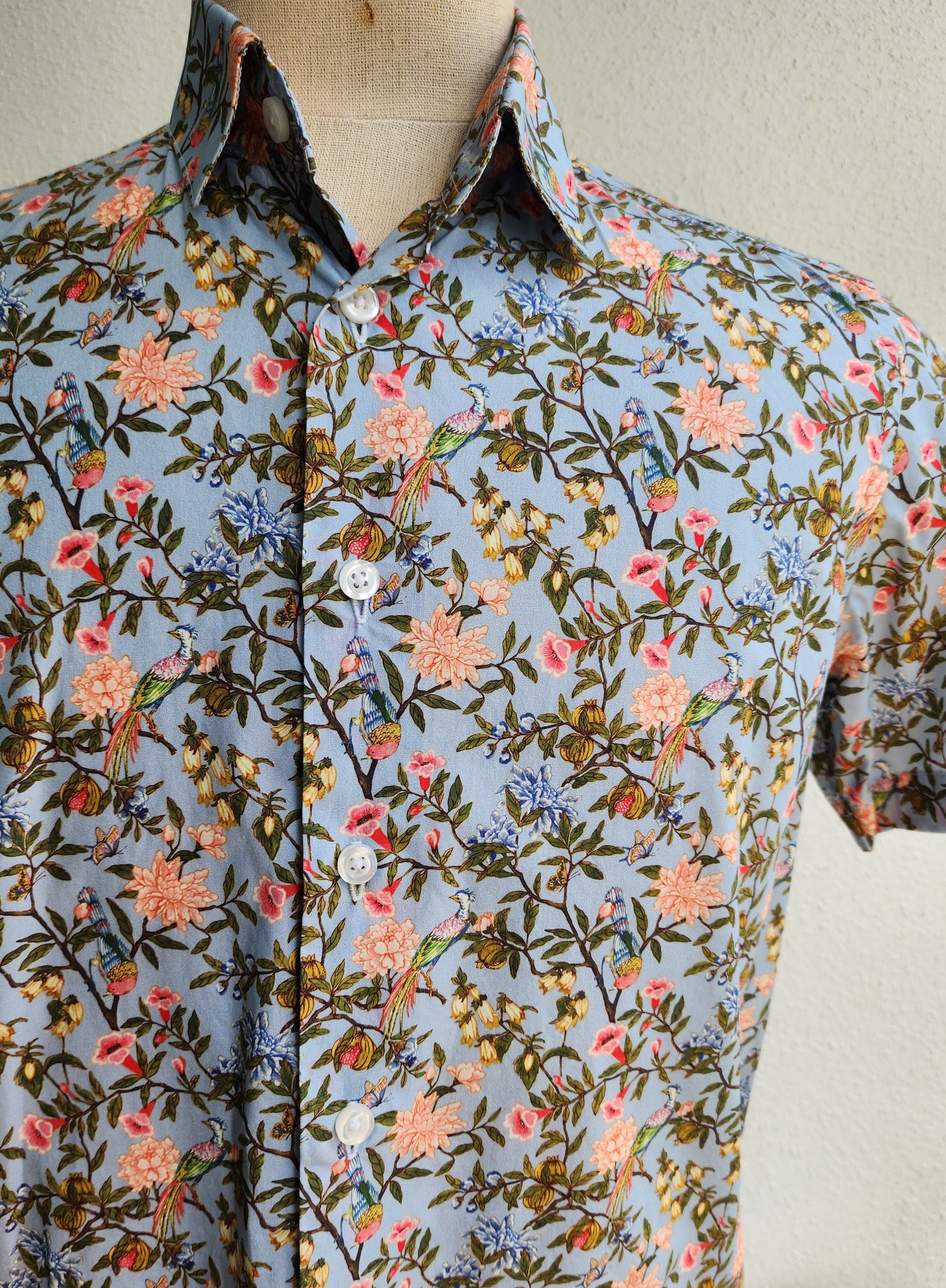 Crisp Morning in Spring