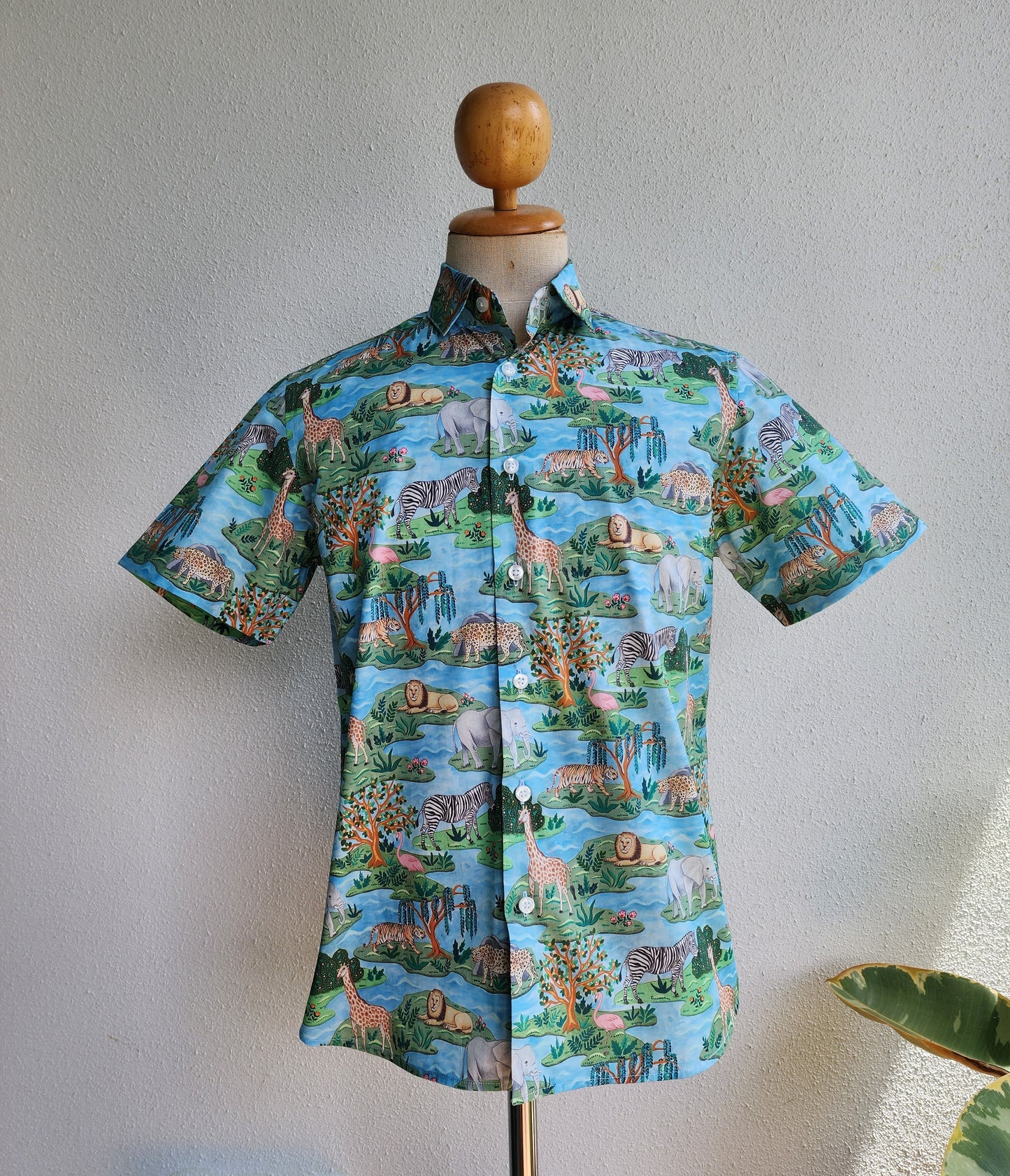 Joy on the African Savanna II