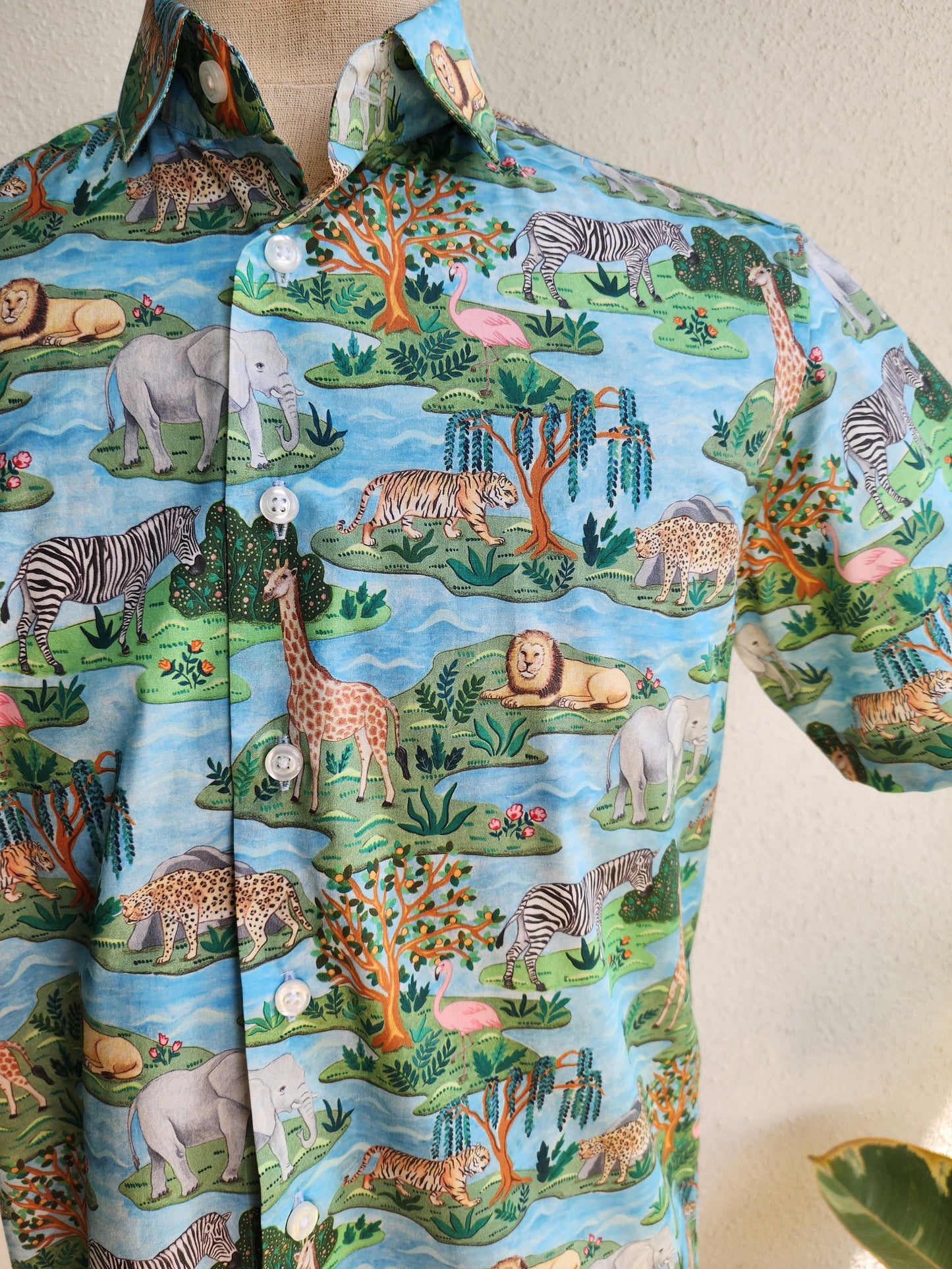 Joy on the African Savanna II