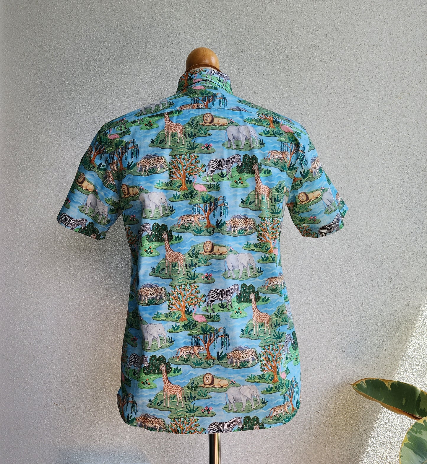 Joy on the African Savanna II